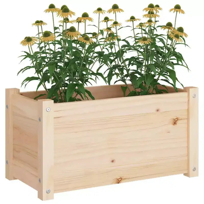 Jardinière décorative de patio, boîte à fleurs extérieure en bois massif de pin