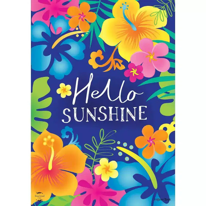 Briarwood Lane Spring Double Sided Garden Flag 12x18 For Outdoor Hello Sunshine For Spring Garden Flag Flags For Outside